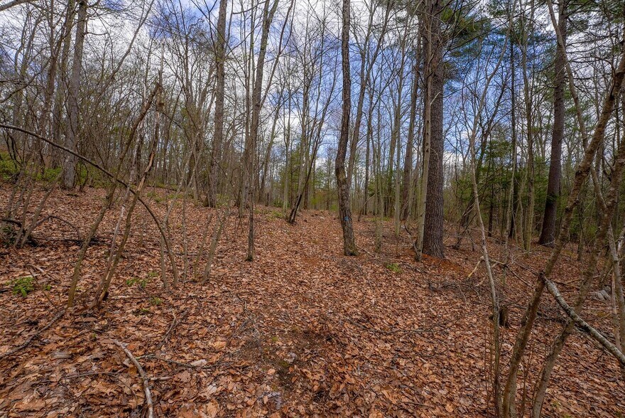 More Photos Of 291 Fomer Road, Southampton Land For Sale
