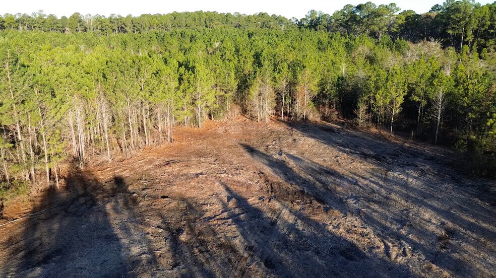 More Photos Of 319 - 547 Sisters Ferry Road, Ridgeland Land For Sale