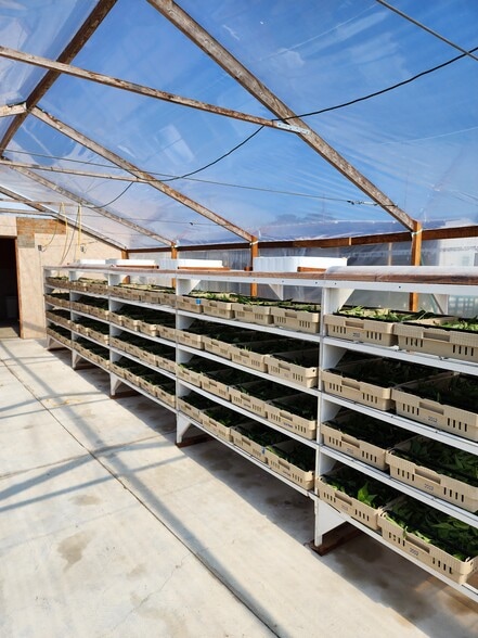 More Photos Of 3510 Walk in Water Rd, Lake Wales Winery Vineyard For Sale