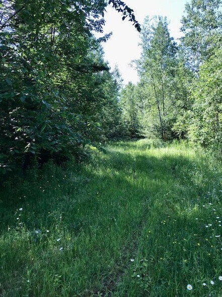 More Photos Of 0 Bear Swamp, Peru Land For Sale