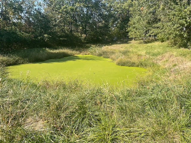 More Photos Of 1106 Rim Rd, Quincy Manufactured Housing Mobile Home Park For Sale