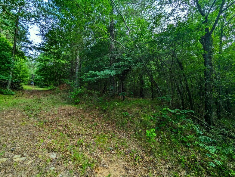 More Photos Of 2725 White Rd NE, Conyers Land For Sale
