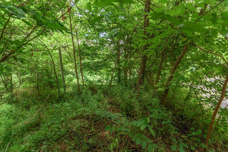More Photos Of 0 Olentangy River, Delaware Land For Sale