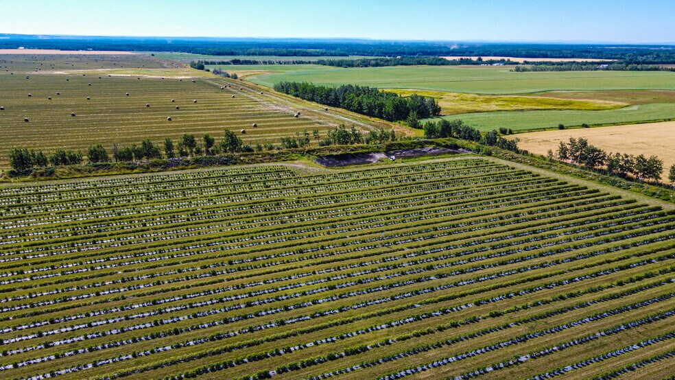 More Photos Of 705068 82 -1, Wembley General Retail For Sale