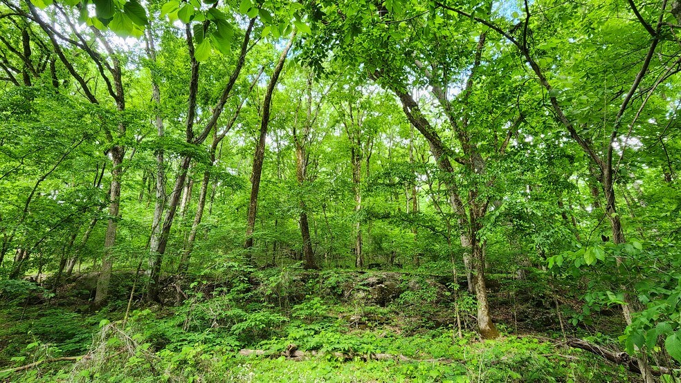 Primary Photo Of Near 5370 Deerfoot Parkway Pky, Trussville Land For Sale