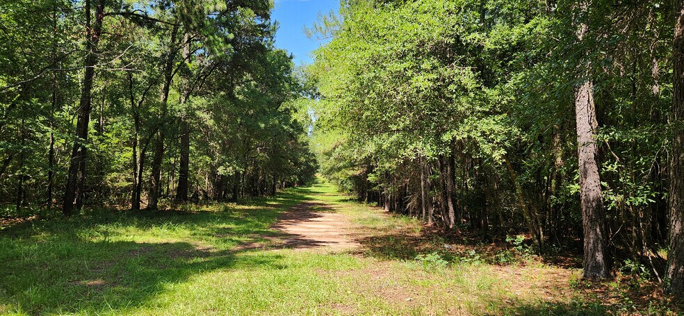 More Photos Of 512 Westover blvd, Albany Land For Sale