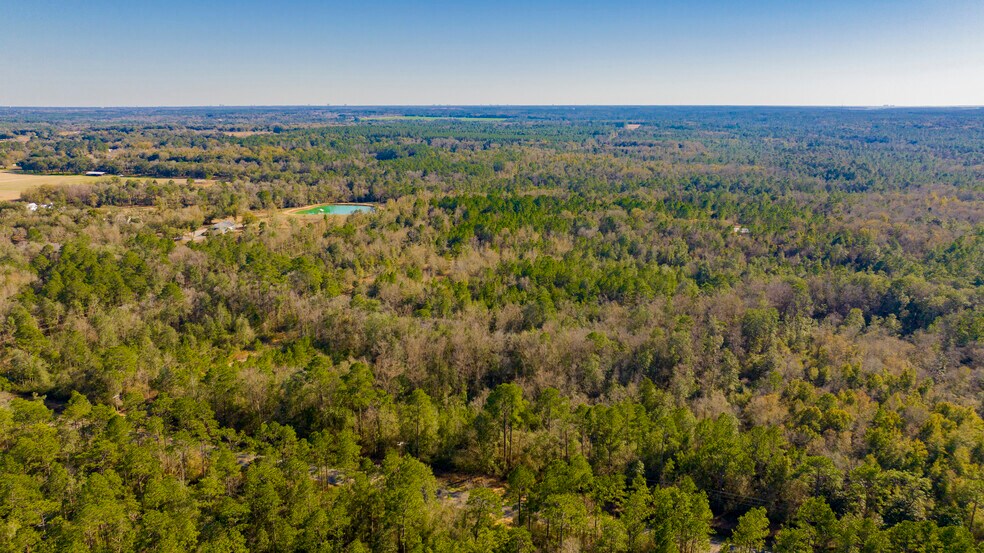 More Photos Of 12960 County Road 48, Silverhill Land For Sale
