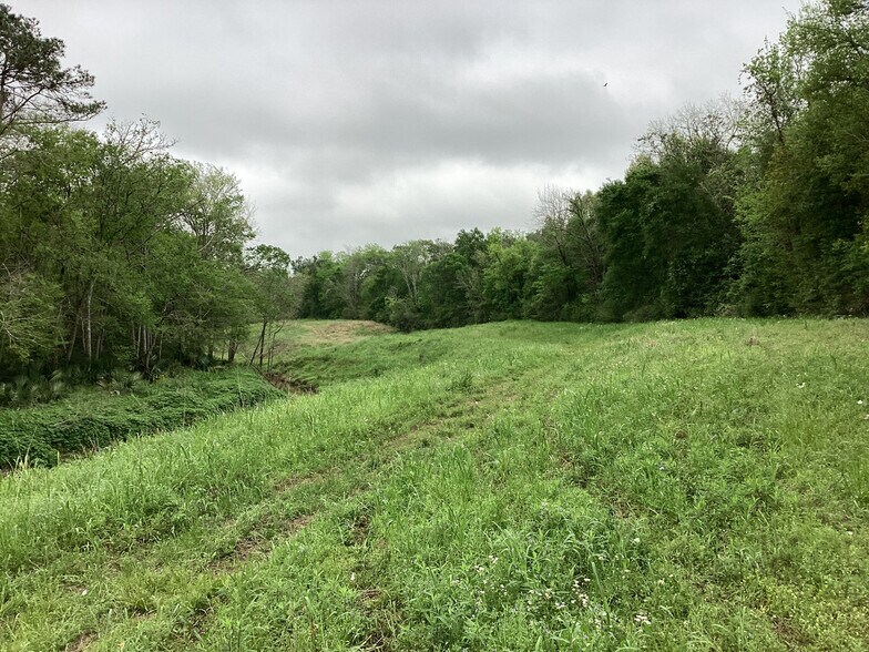 More Photos Of 0 County Road 4876, Dayton Land For Sale
