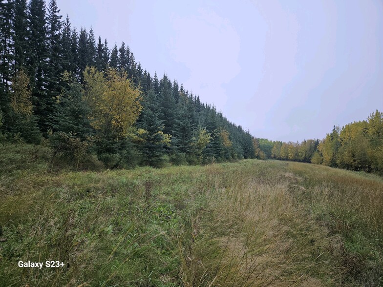 Primary Photo Of Ski Boot Hill Rd @ Solitude Way, Fairbanks Land For Sale