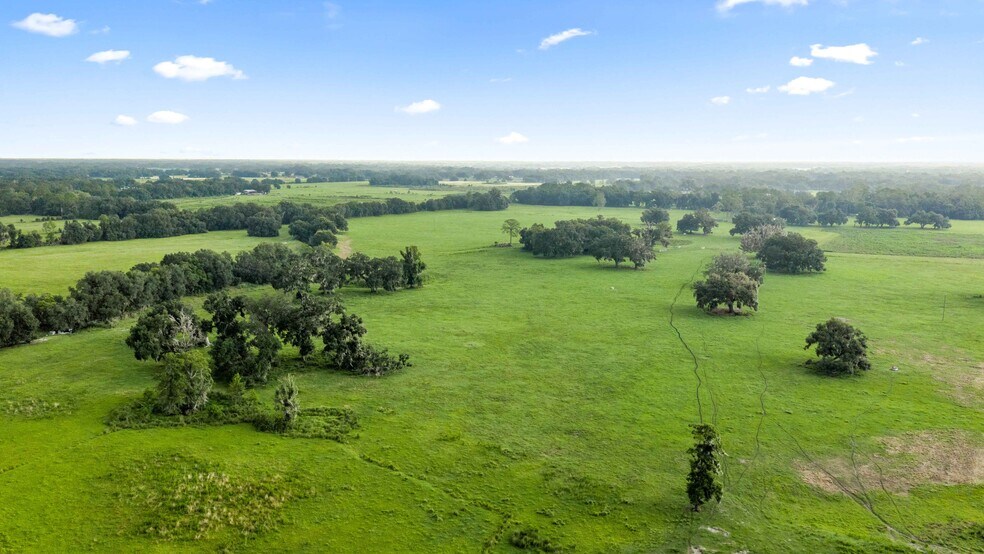 More Photos Of CR 774, Webster Land For Sale