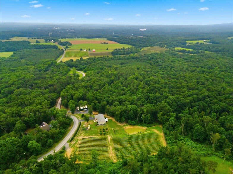 More Photos Of 1309 Redland Rd, Cross Junction Winery Vineyard For Sale