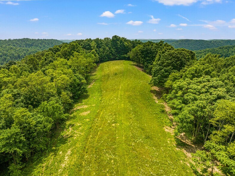 More Photos Of 1945 Pittman Branch Rd, Mount Vernon Land For Sale