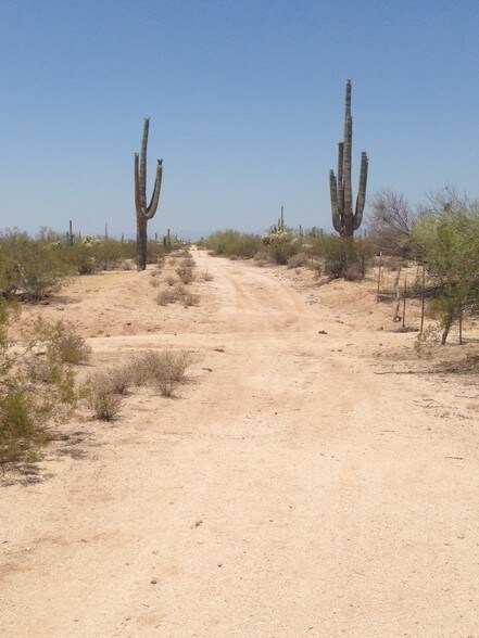 More Photos Of Cactus Forest Estates, Florence Land For Sale