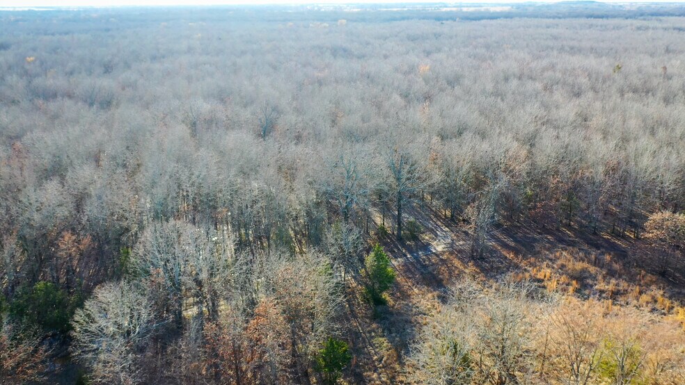 More Photos Of 1200 County 1255 rd, Detroit Land For Sale