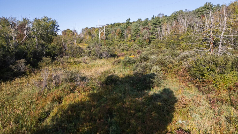 More Photos Of 219 Mudge rd, Delanson Land For Sale