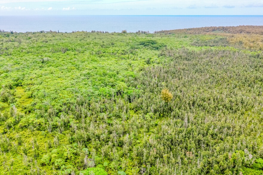 More Photos Of 0 Old Government Rd, Pahoa Land For Sale