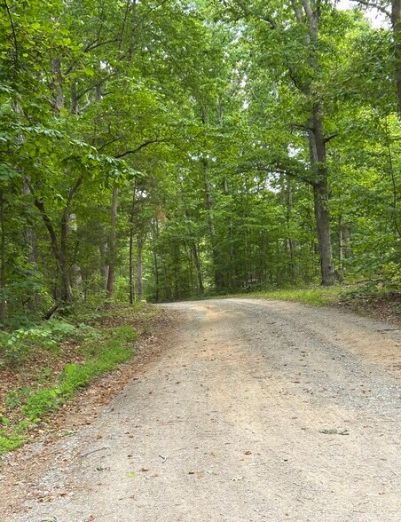 Primary Photo Of 00 00 Youngstown Rd, Goochland Land For Sale