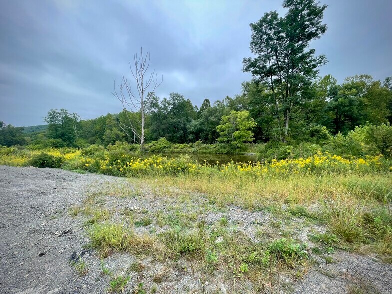 More Photos Of 1253 W Danby Rd, Newfield Convenience Store For Sale