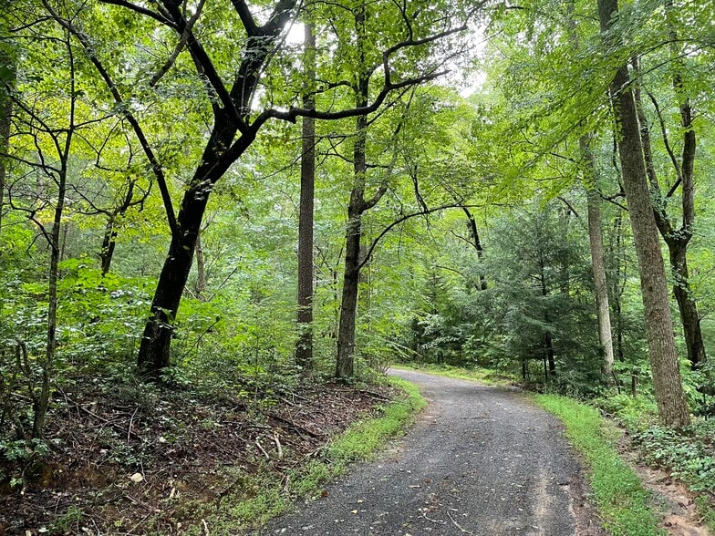 More Photos Of Tickanetley Ln, Ellijay Land For Sale
