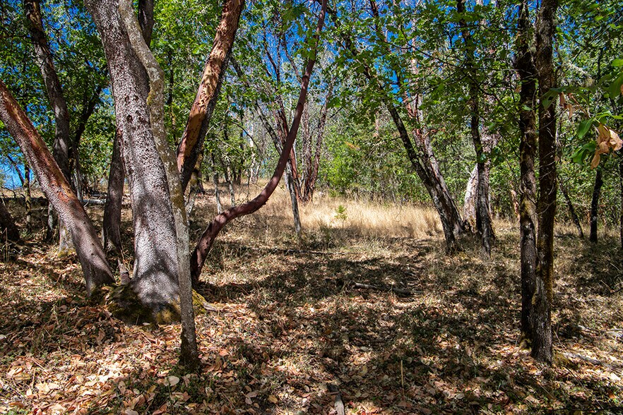 More Photos Of 0 Rosemary Lane Ln, Grants Pass Land For Sale