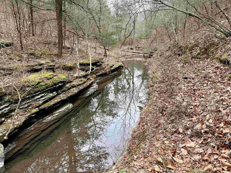 More Photos Of 155 Sweet Gum Holw, Rose Bud Land For Sale