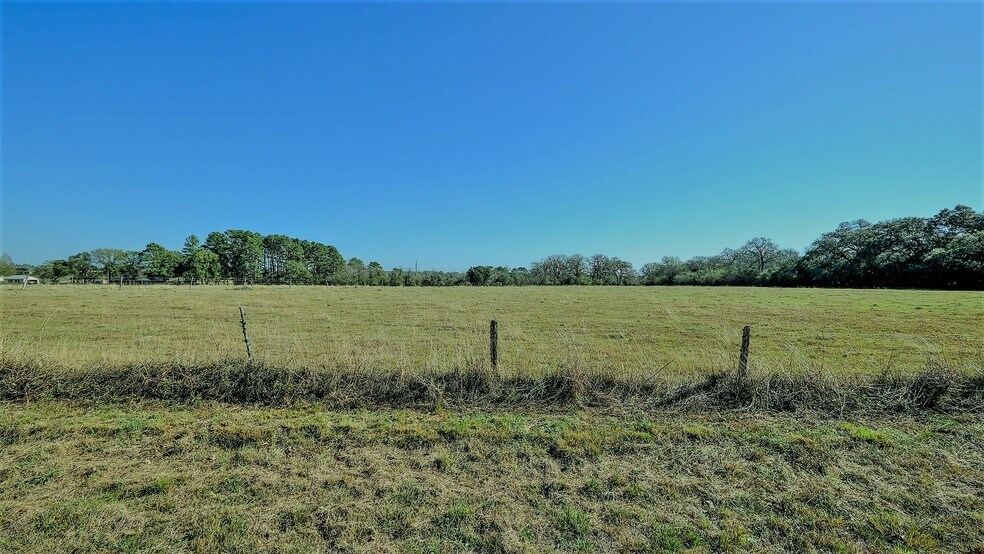 More Photos Of 26266 Fields Store Rd., Waller Land For Sale