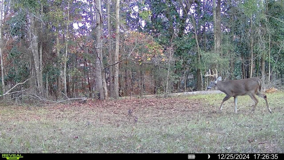 More Photos Of 4433 Pat Thomas Pky, Quincy Land For Sale