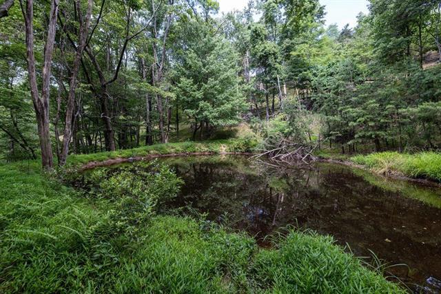 More Photos Of 22590 Criders Rd, Criders Land For Sale