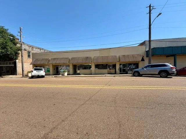 Primary Photo Of 219-225 State St, Mccomb Storefront For Sale