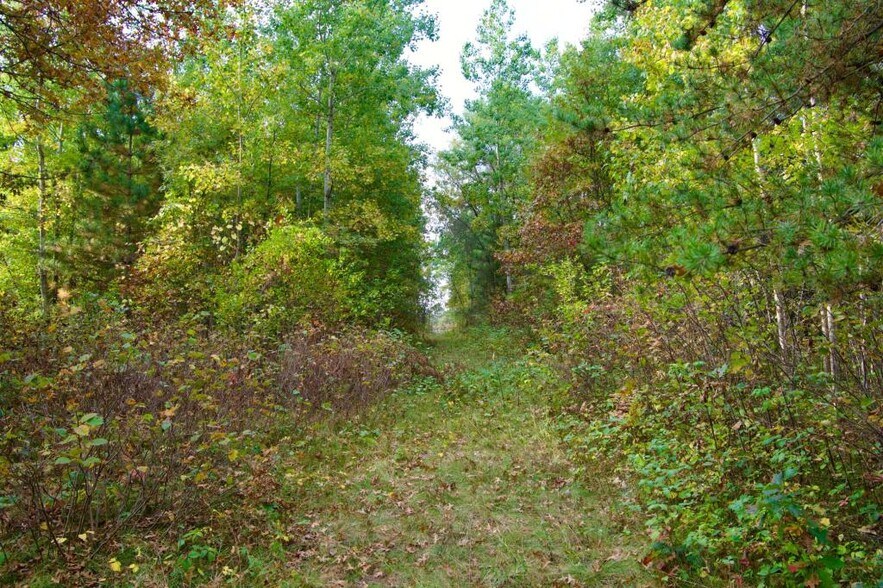 More Photos Of 371 Hwy, Brainerd Land For Sale