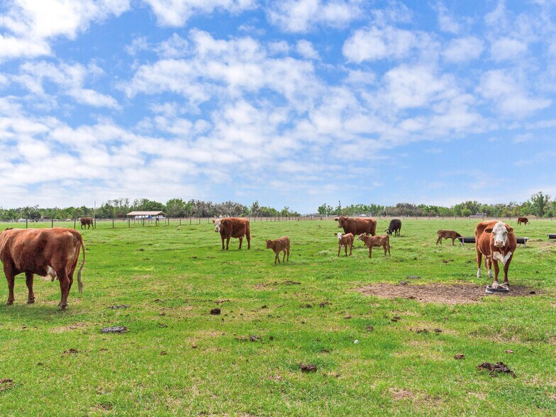 More Photos Of 15721 Colding Loop, Wimauma Land For Sale