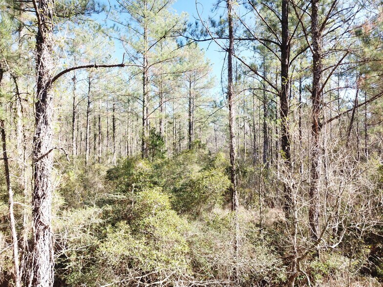 Primary Photo Of Corrigan Road, Vidor Land For Sale