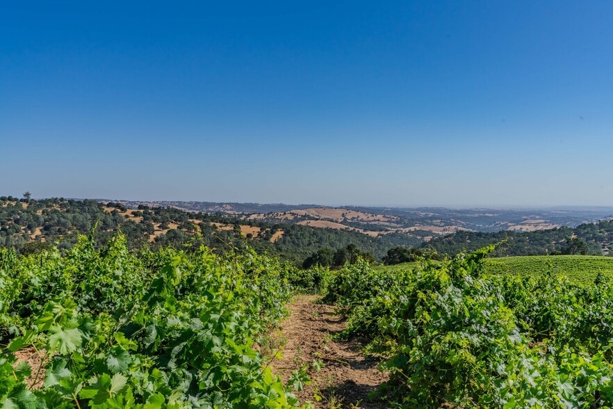 More Photos Of 18550 Silver Oak Ln, Plymouth Land For Sale