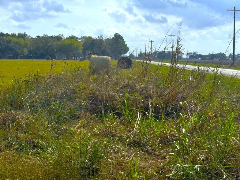 More Photos Of 0 0 CR 321, Louise Land For Sale