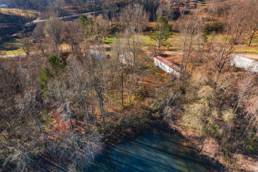 More Photos Of , Jasper Unknown For Sale