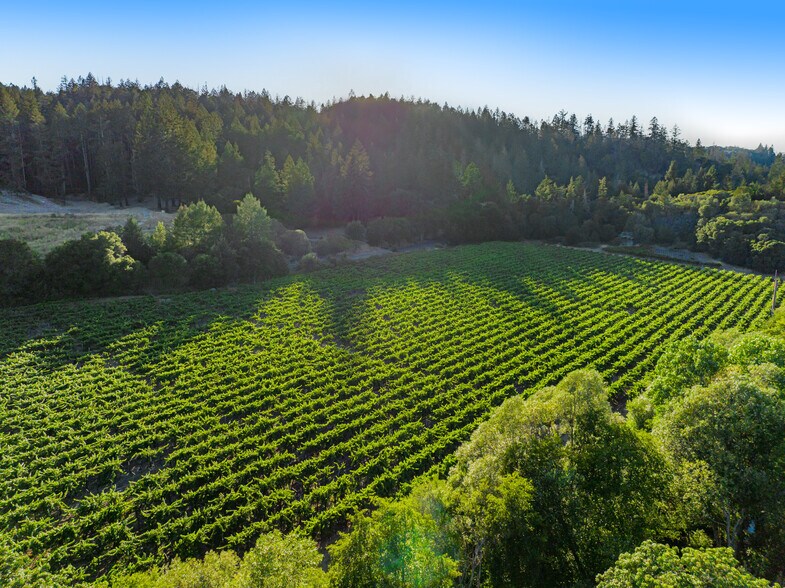 More Photos Of 8320 Franz Valley Rd, Calistoga Land For Sale