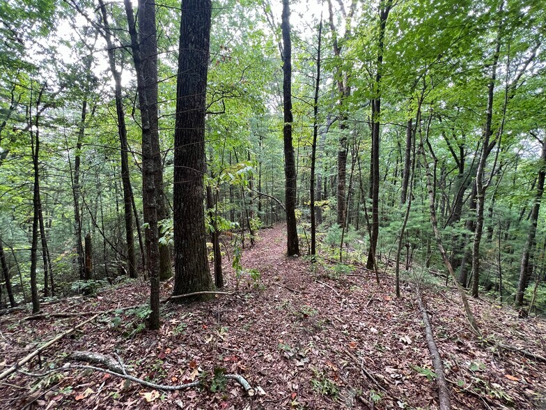 More Photos Of Whitecliff Drive, Ellijay Land For Sale