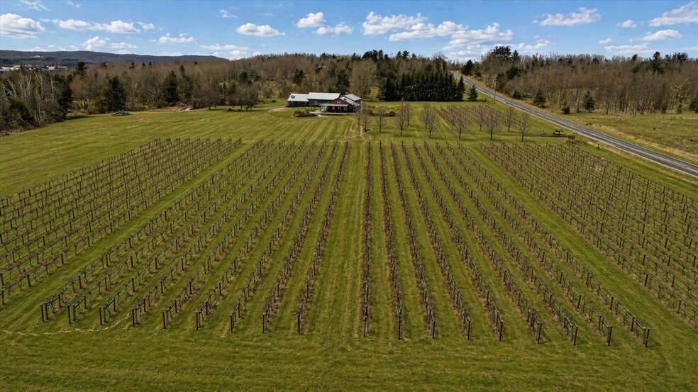 More Photos Of 8370 Lakeview Rd, Alanson Winery Vineyard For Sale