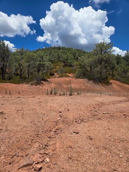 More Photos Of W Ruin Hill Loop, Pine Land For Sale