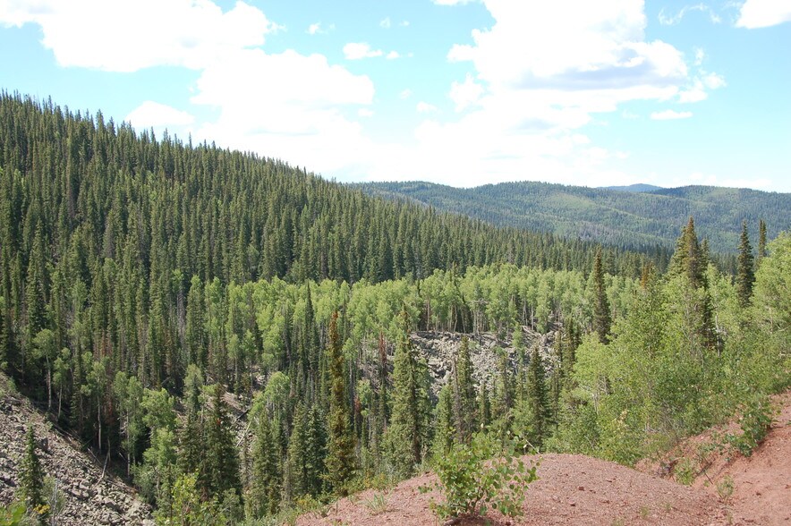 More Photos Of Lake Beaver E, Beaver Land For Sale