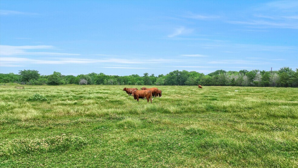 More Photos Of 12153 Mustang Rd, Pilot Point Land For Sale