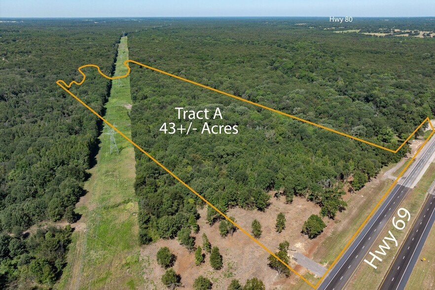 Primary Photo Of Tract A Hwy 69 hwy, Mineola Land For Sale
