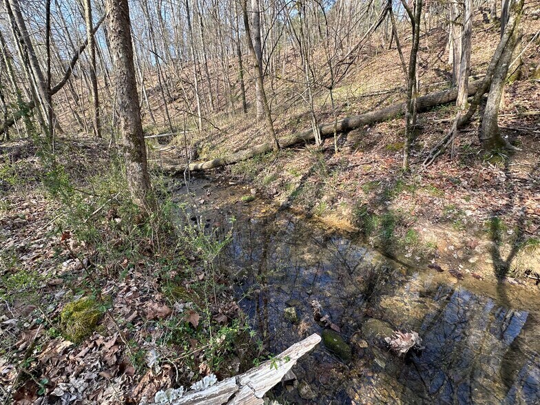 More Photos Of 7312 Highway 60, Georgetown Land For Sale