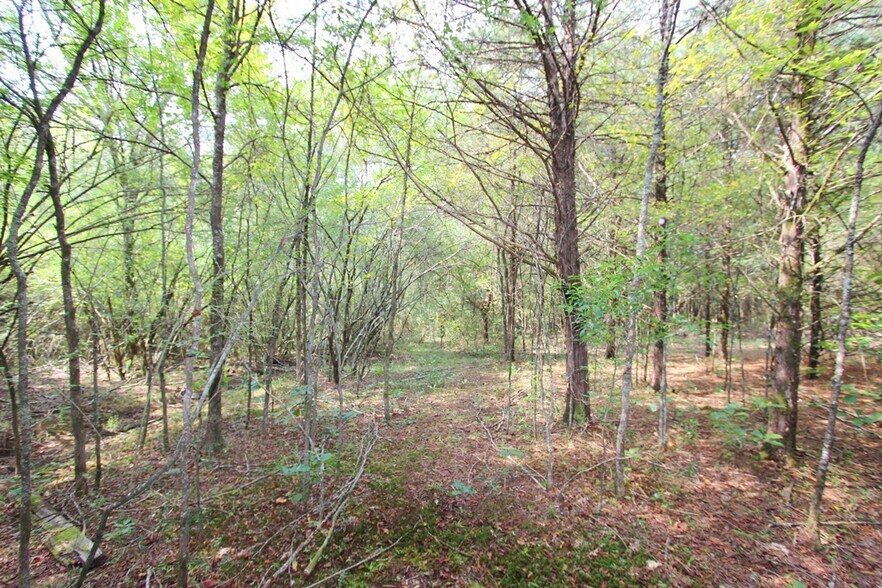 More Photos Of 226 Blythe rd, Greenbrier Land For Sale