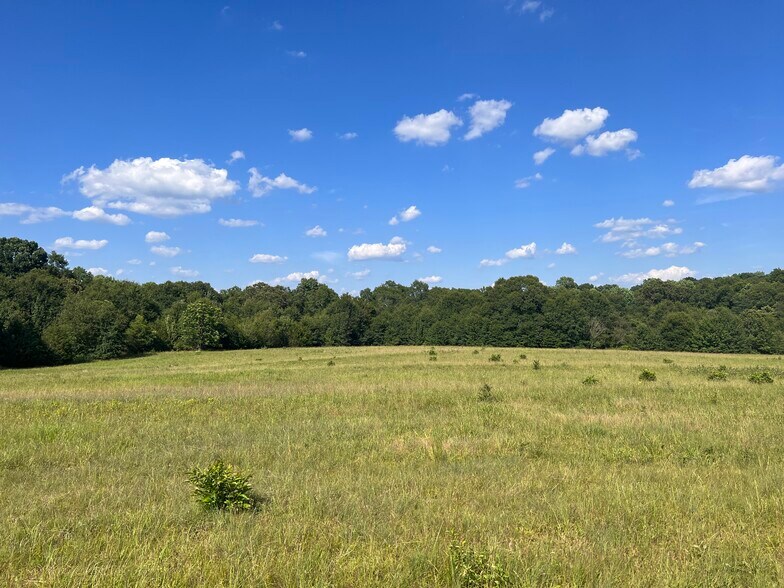 More Photos Of 112 Homestead, Shelby Land For Sale