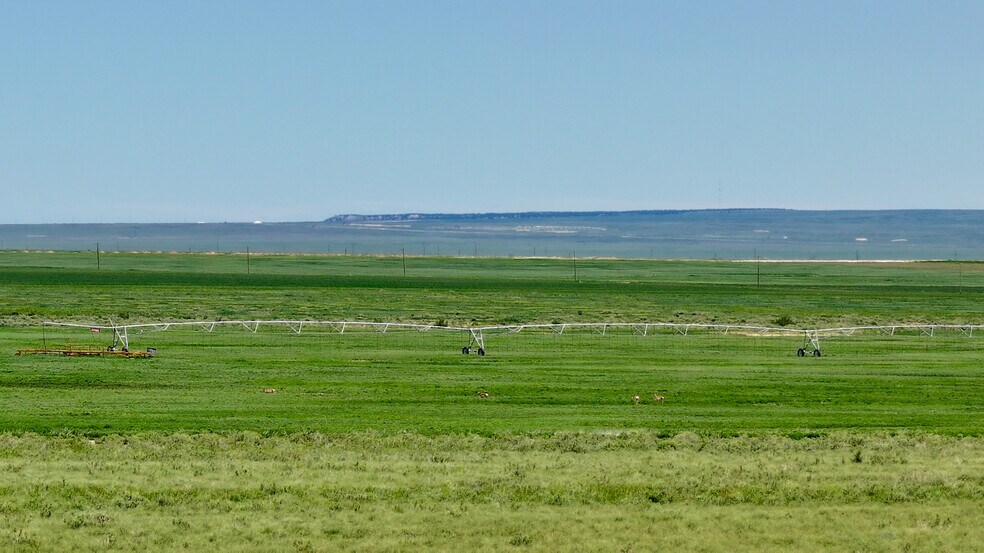 More Photos Of 48999 County Road 48, Model Land For Sale