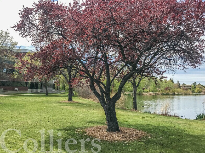 More Photos Of 300 E Mallard Dr, Boise Office For Lease