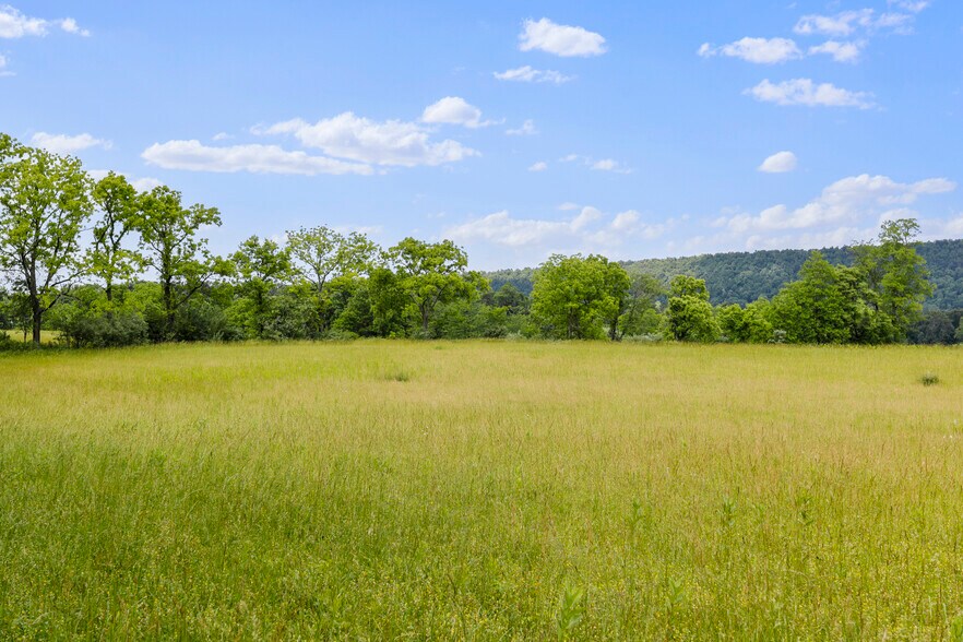 More Photos Of 3648 Dominion Rd, Gerrardstown Land For Sale