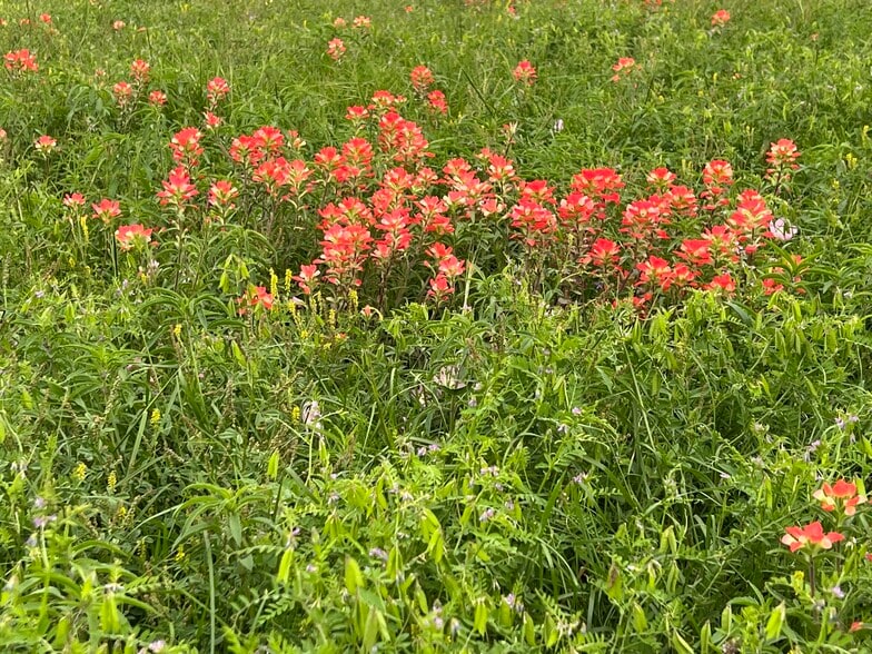 More Photos Of Highway 90A, Shiner Land For Sale