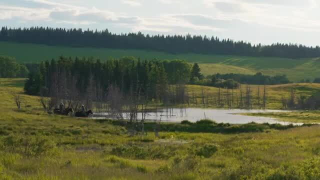 Primary Photo Of Scott Lake Ranch, Rocky View No 44 Land For Sale